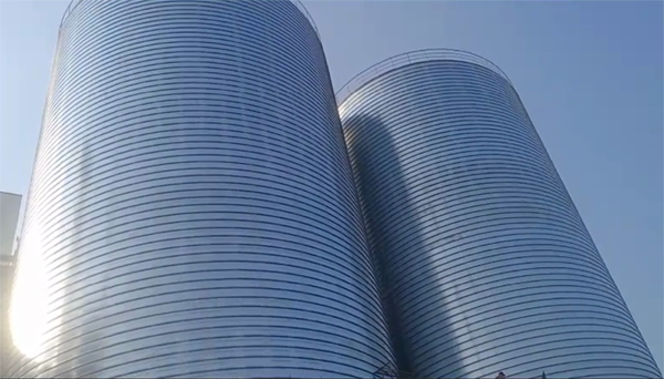 泸西2座混凝土高架卷板仓